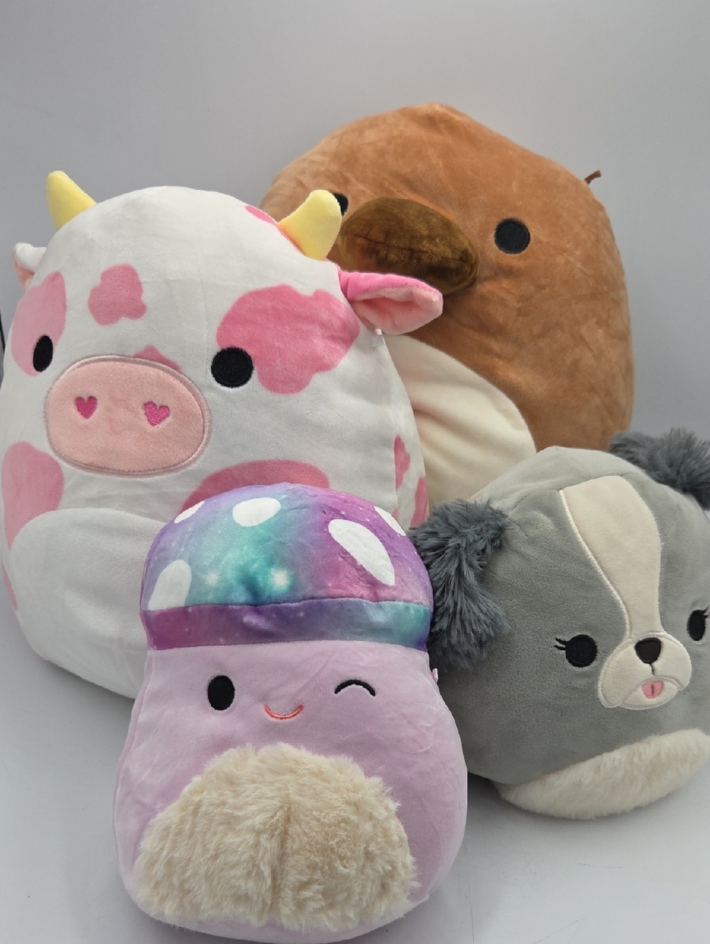 Squishmallows Plush Bundle - F